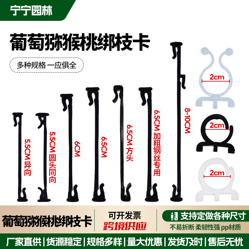 天极网_专业IT门户